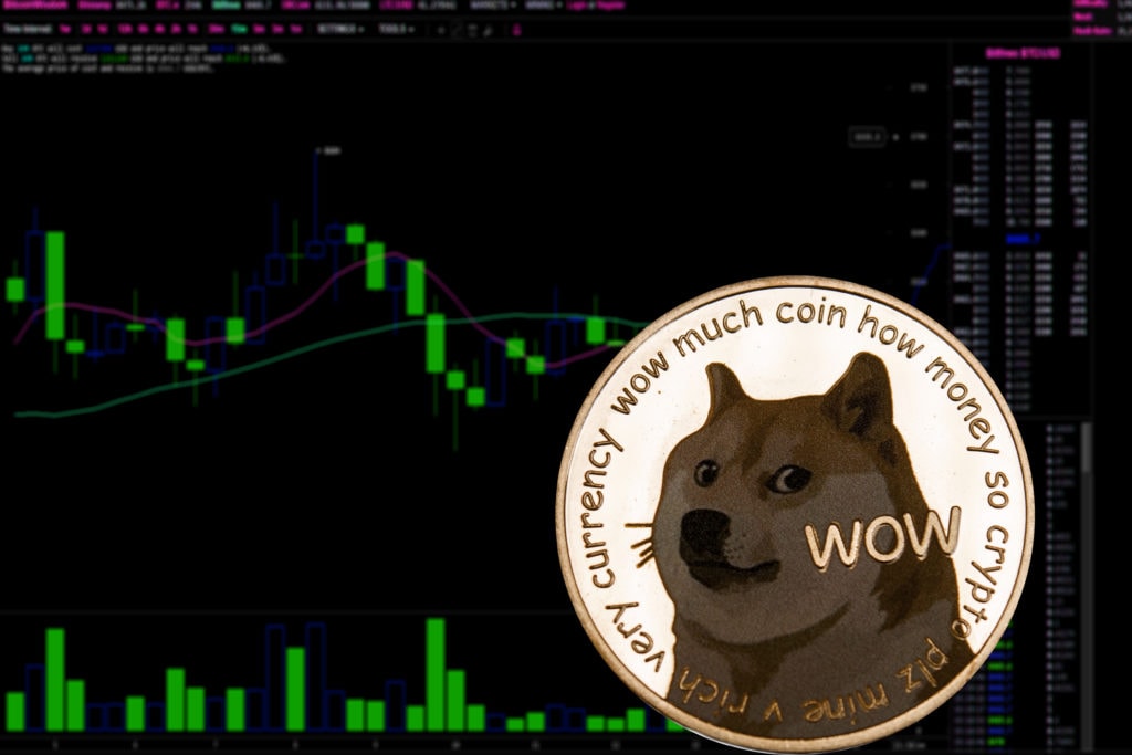 doge price movement after announcement of a new fund for core developers | invezz