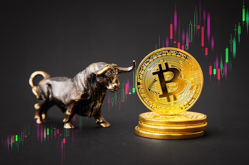 analysts at bitfinex believe we are at the early stages of a bitcoin bull market