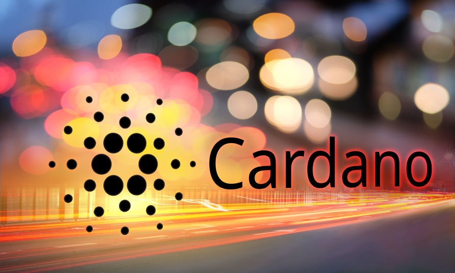 cardano price steady after dynamic p2p upgrade, defi tvl soars