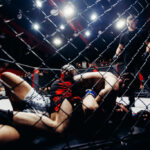 defichain sponsors national fighting championship to target ‘crypto-curious’ people in germany | invezz