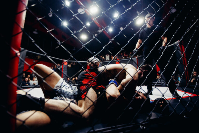 DeFiChain sponsors National Fighting Championship to target ‘crypto-curious’ people in Germany | Invezz