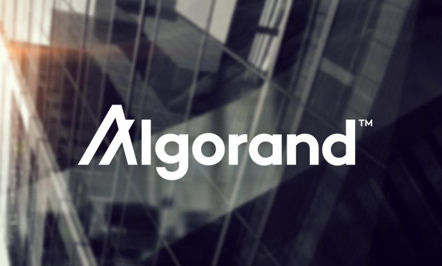 algorand price prediction as algo demand wanes