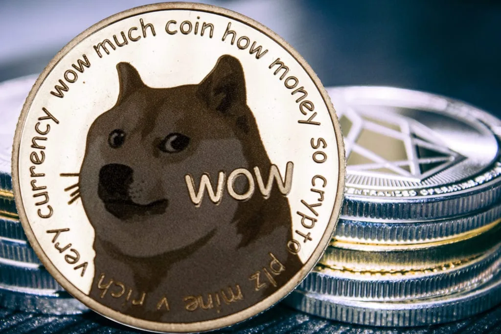why did dogecoin spike? because of the twitter logo, obviously