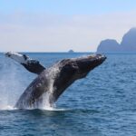 ethereum (eth) poised for price surges as another dormant whale awakes after 8 years | invezz