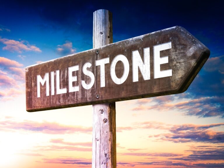 Shiba Inu's (SHIB) Shibarium surpasses the 10M transaction volume milestone